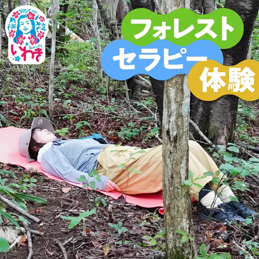 フォレストセラピー体験（森林浴×マインドフルネス瞑想体験）1回分 | フォレストセラピー 森林浴体験 マインドフルネス瞑想 自然と調和 静寂の時間 森の癒し 体験型返礼品 フィトンチッド マイナスイオン 深呼吸セラピー 自然の空気 心のデトックス | KM003