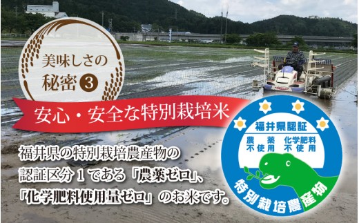 【令和8年度産 新米 先行予約】【玄米】特別栽培米 コシヒカリ 10kg  [B-033102]  / 無農薬 減農薬 こしひかり 特別栽培 白米 玄米 米 お米 5キロ 10キロ こめ コメ 送料無