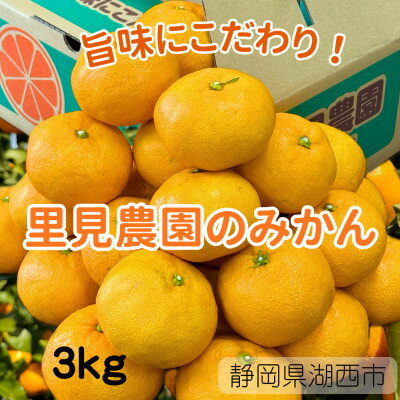 【ふるさと納税】【旨味にこだわり】里見農園のみかん SSサイズ 3kg【1697930】