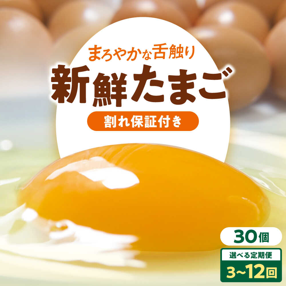 【ふるさと納税】選べるお届け回数！ 卵 平飼い 海草たまご 3パック（30個入り）割れ保証あり 愛媛県大洲市/和田養鶏場 卵 定期便 卵かけご飯 平飼い たまご タマゴ 鶏卵 卵料理 玉子 [AGDQ005]