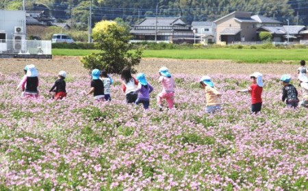 遠賀町への寄付（返礼品はありません） 1口 5,000円