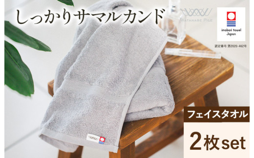 （今治タオルブランド認定）しっかりサマルカンド フェイスタオル 2枚（ブルー）【IA05290FT2BL】
