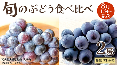 旬な ぶどう 食べ比べ 700g × ２房【2026年8月上旬発送開始】(茨城県共通返礼品：大子町)