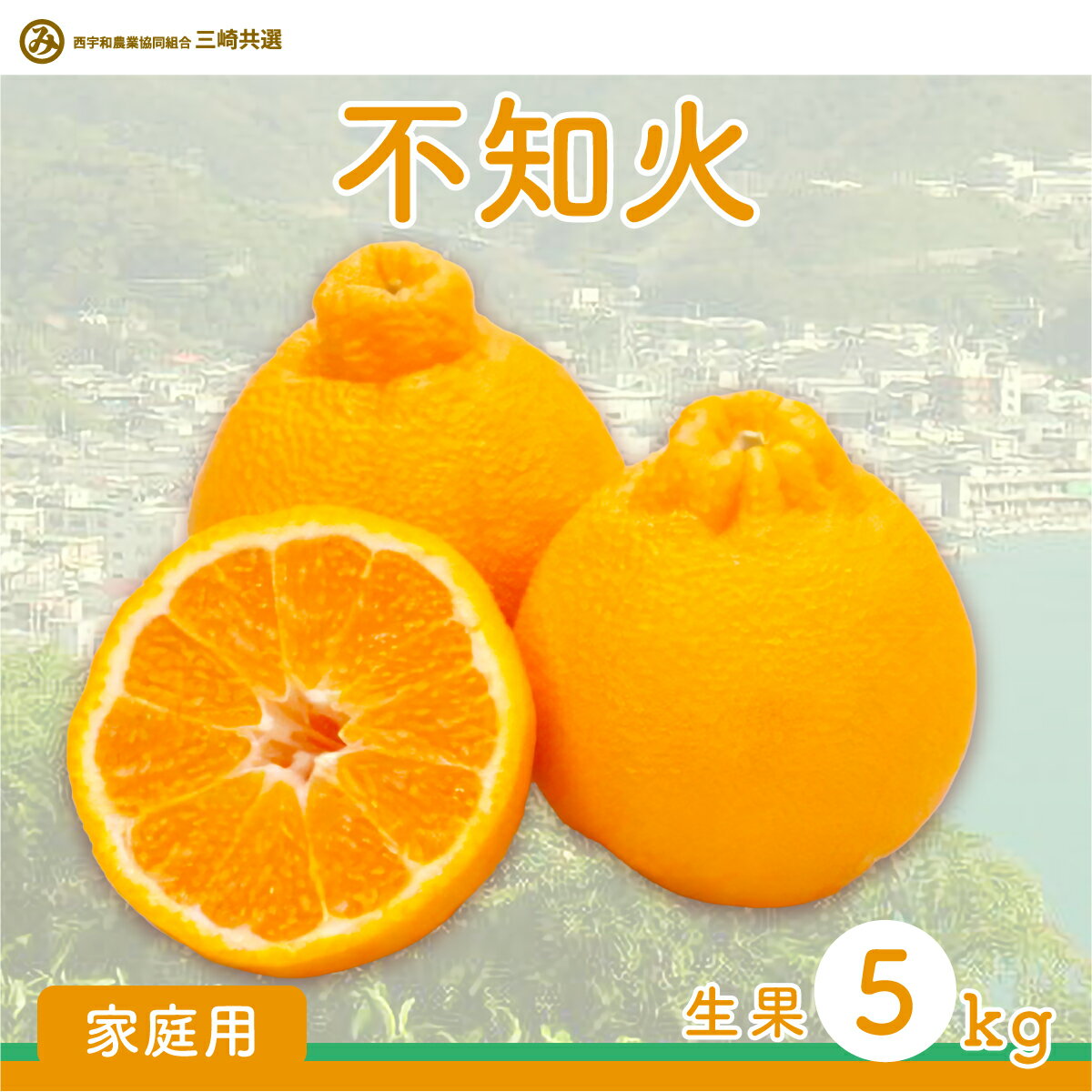 【ふるさと納税】【先行予約】【家庭用】不知火 5kg ※離島への配送不可（2026年2月上旬より順次発送予定）【 ふるさと納税 人気 おすすめ ランキング 柑橘 みかん ミカン 不知火 しらぬい 蜜柑 果物 デコポン と同品種 家庭用 愛媛県産 愛媛県 伊方町 送料無料 】 IKTBD016