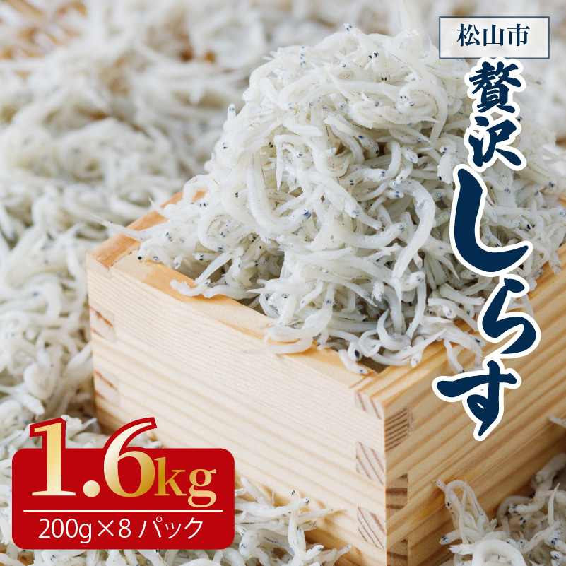 しらす 1.6kg ( 200g × 8パック ) 冷凍 小分け 約24人前 しらす丼 丼ぶり 魚 さかな ご飯 ごはん 炒飯 チャーハン パスタ スパゲティ サラダ 卵焼き お取り寄せ グルメ 人気 おすすめ 愛媛県 松山市