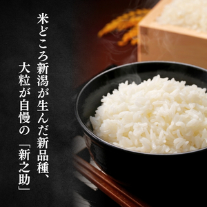 【令和7年産】【無洗米】  特別栽培米  新潟県上越産 新之助  5kg 