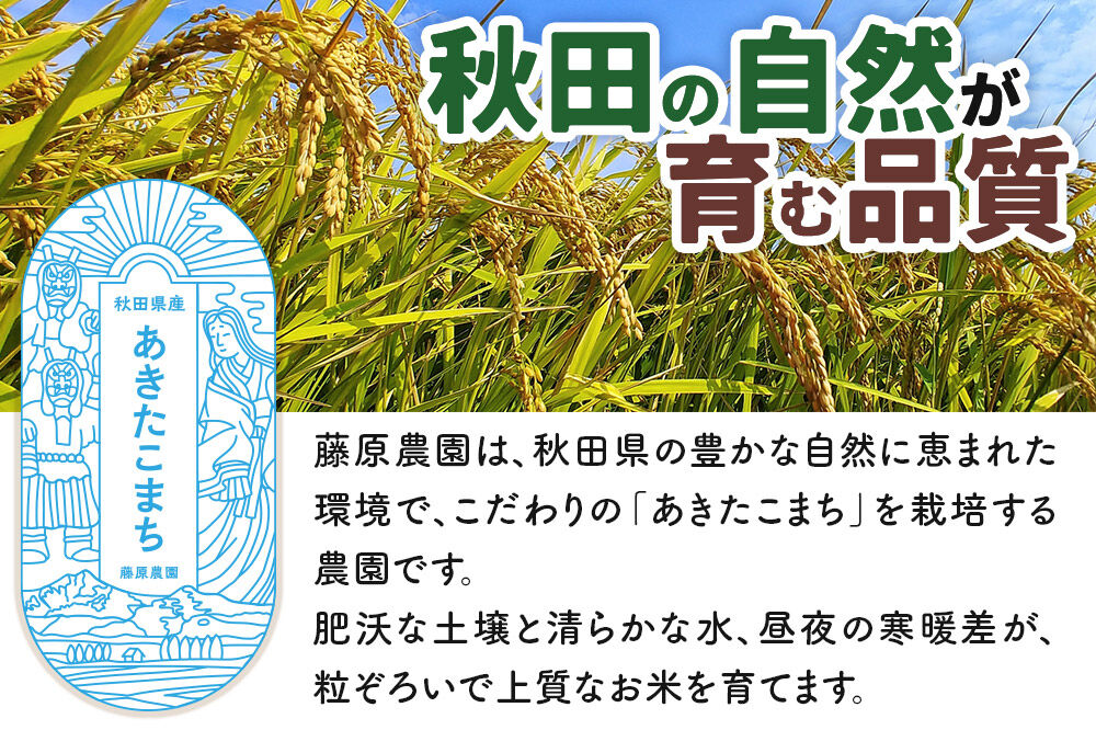 【令和８年産 新米予約】あきたこまち 精米 5kg 秋田県北秋田市産 白米 [米 こめ 令和８年 2026年 新米 秋田県 北秋田市 あきたこまち 白米 美味しい おいしい]