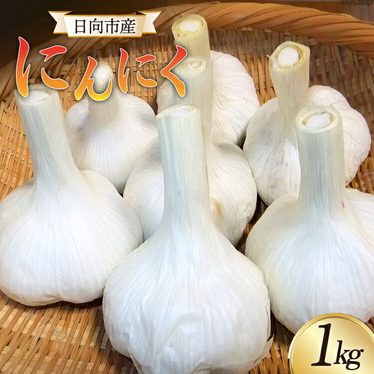 【ふるさと納税】【期間限定発送】 にんにく 国産 1kg [甲斐自然派農園 宮崎県 日向市 452060131] ふるさと納税 ニンニク 1キロ 栽培期間中 無農薬 農薬不使用 化学肥料不使用 日向市産