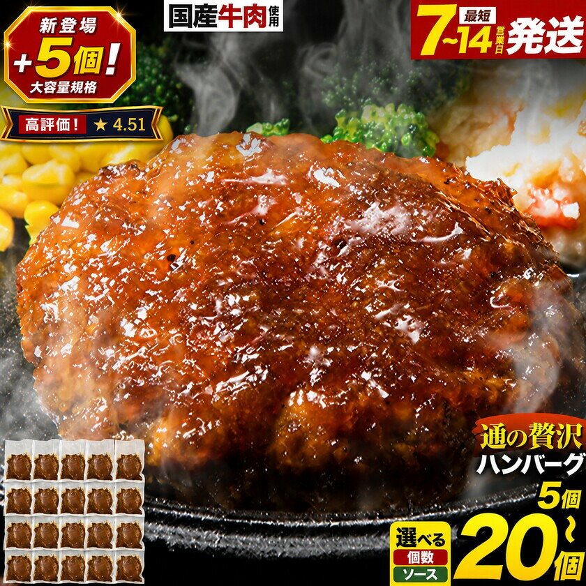 ハンバーグ 温めるだけ 黒毛和牛 22個 入り 計3080g 特製 デミグラスハンバーグ デミグラスソース 冷凍 湯煎 馬肉 牛肉 ふるさと納税 返礼品 20個 以上 《出荷時期をお選びください》