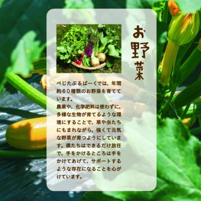 ふるさと納税 能勢町 【発送月固定定期便】『大阪能勢産』べじたぶるぱーくの新鮮野菜詰合せ　Sセット(5種類)　奇数月全6回 |  | 02