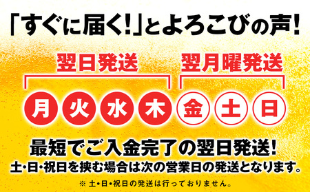 【訳あり】キリンラガービール＜北海道千歳工場産＞500ml（24本）