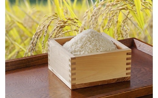 
44 浦臼産特別栽培米ななつぼし　玄米 １５kg
