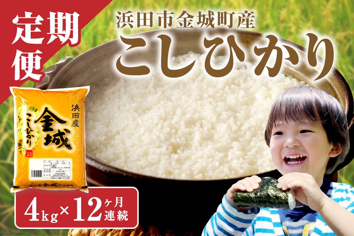 
            【令和6年産】【定期便】浜田市金城町産「こしひかり」1年分（4kg×12回コース） 定期便 12回 こしひかり コシヒカリ お取り寄せ 特産 お米 精米 白米 ごはん ご飯 コメ 一等米 【615】
          