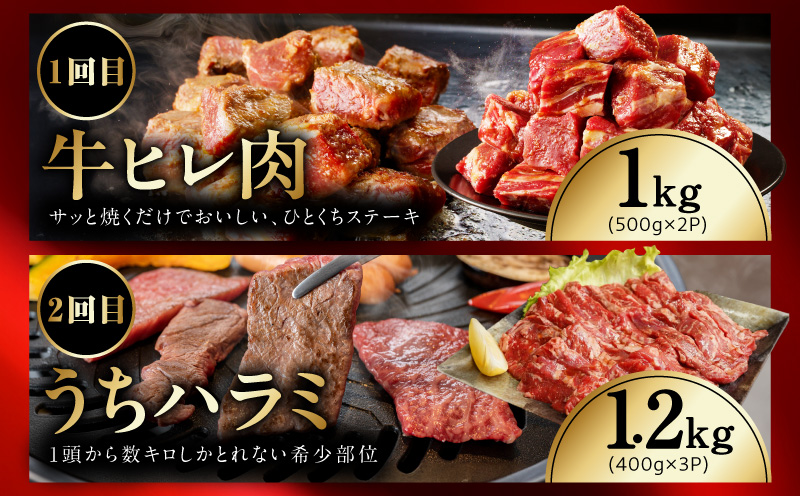 【定期便】希少部位 定期便6.5万円コース【小分け 希少部位 ヒレ 鶏肉 スペアリブ はらみ ハラミ 牛肉 焼肉 BBQ 簡単調理 味付き】 mrzZ106
