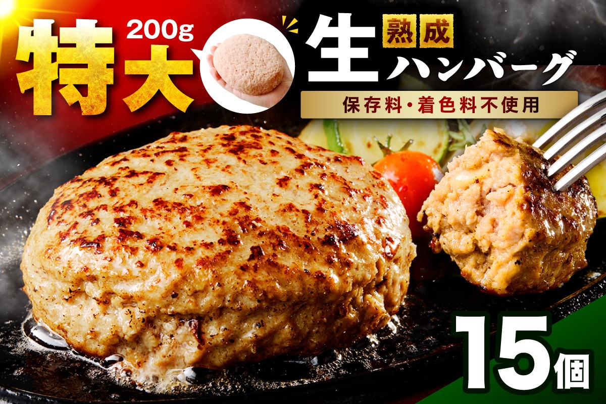 
                  【無添加・粗挽き】食べ応え抜群！生ハンバーグ 200g 15個【087C-080】
                