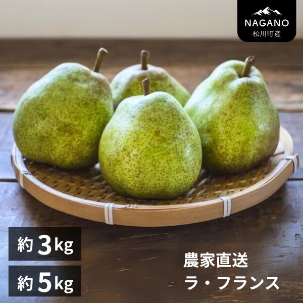 【ふるさと納税】洋梨 ラ・フランス 約3kg or 約5kg 贈答 ／10月中旬頃から発送予定　長野県 南信州 ラフランス ギフト