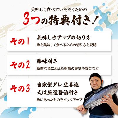ふるさと納税 土佐市 【毎月定期便】違いの分かる鮮魚店店長おすすめ　高知のお魚定期便!! 全3回 |  | 03