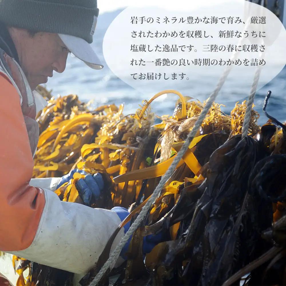 fn-72-001 三陸釜石・漁師直送 湯通し塩蔵わかめ（100g×5袋) 両石港 隆丸