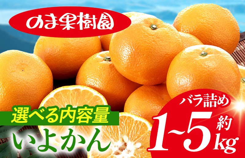 
                  【先行予約】いよかん バラ詰め（1～5kg）【K003660】 いよかん みかん 果物 ふるさと 愛媛 柑橘 柑橘類 愛媛県 果物 フルーツ 甘い 乃万青果 のま果樹園 愛媛県ふるさと納税
                