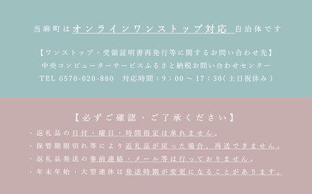 【2024年産予約】 かぼちゃ 北海道 10kg 甘い ホクホク 当麻町 阿部ファーム ダークホース カボチャ 南瓜 野菜 【AE-001】