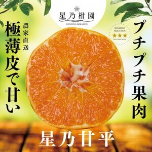 星乃みかん園の星乃甘平(3.5kg)【D45-46】【1339329】