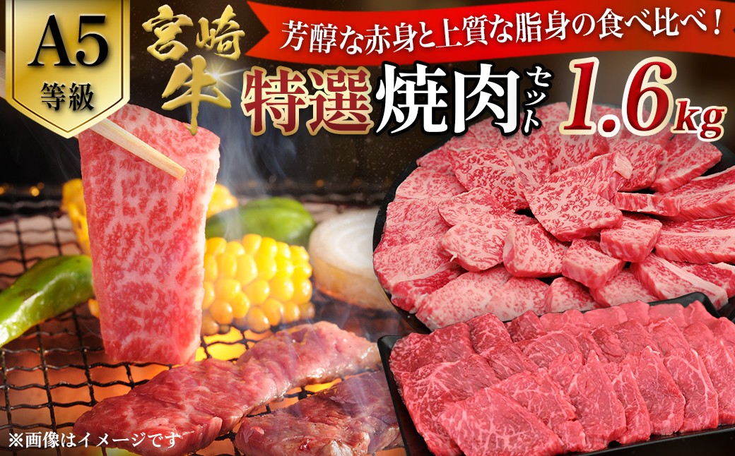 
                  【A5等級】宮崎牛 特選焼肉セット 計1.6kg（赤身・霜降り） 宮崎牛 ブランド牛 和牛 牛肉 焼肉 特選和牛 霜降り A5 宮崎県 小林市
                