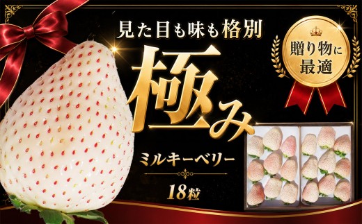 
                  いちご 完熟 朝摘み ミルキーベリー 極み 18粒【2027年 先行予約】
                