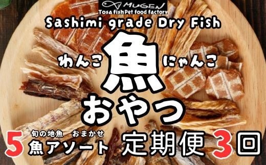 M196【お魚100％・ペットのおやつ】手作り 無添加ペットフード　旬の5魚アソート 定期便3回　犬と猫のおやつ