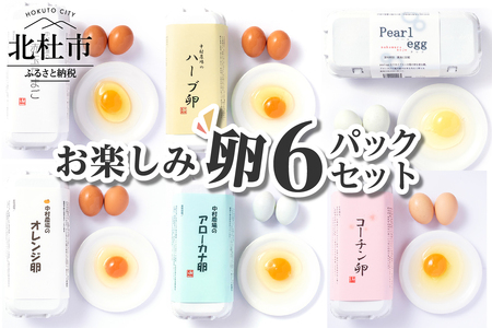 中村農場　お楽しみたまご６パックセット [h024]