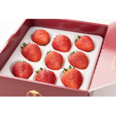 【ふるさと納税】【産直】完熟よつぼし『四重奏プレミアム』　愛知県みよし市　【配送不可地域：離島・北海道・沖縄県】【1284759】