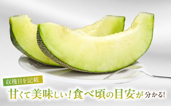 【2026年7月初旬～発送】グリーンメロン 2玉 約4kg / メロン めろん 果物 フルーツ / 南島原市 / うえだメロン園 [SAD010]