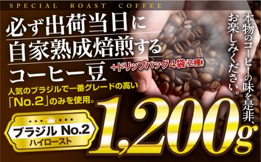 E428d 【ドリップバッグ付！】必ず出荷日に自家熟成焙煎ブラジルNo.2豆(1.2kg)＋ドリップバッグ4パック ブラジル豆の最高グレード J.C.Q.A認定コーヒーインストラクター1級のこだわり コーヒー本来の味を楽しめるハイロースト【SASEBO Coffee TOMINAGA】11000円 人気 新鮮 挽きたて 大容量