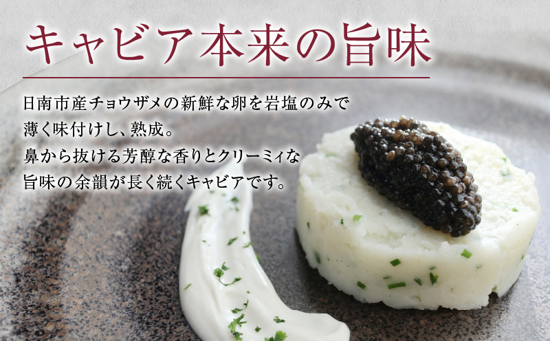 数量限定 宮崎キャビア1983 20g 魚卵 魚介 魚貝 国産 世界三大珍味 黒いダイヤ 高級食材 希少 お祝い 記念日 加工品 食品 おすすめ ギフト プレゼント 贈り物 贈答 パーティー おつまみ