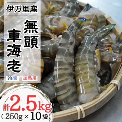 ふるさと納税 伊万里市 伊万里産【無頭】冷凍車海老(加熱用)2.5kg