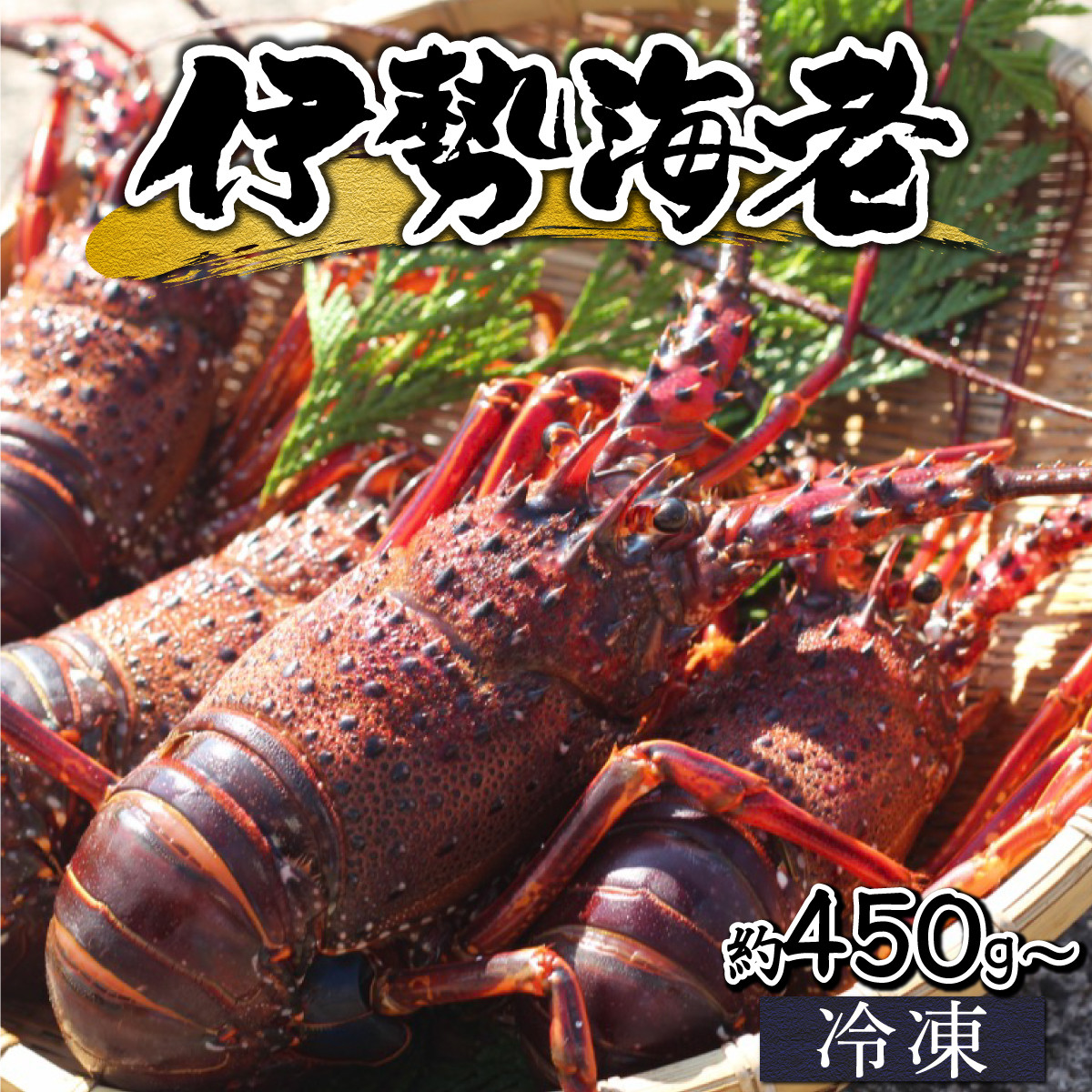 
HRISR ＜生冷凍・数量限定＞宮崎県串間産 天然伊勢エビ（約450〜800g） 【豊漁丸】
