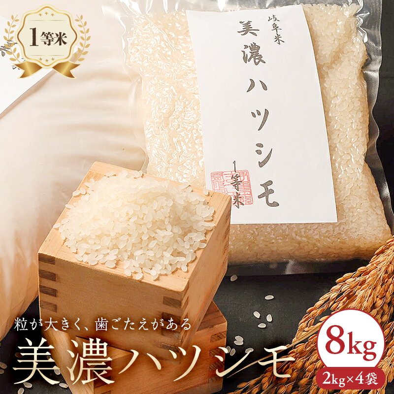 【ふるさと納税】 美濃ハツシモ 1等米8kg （2kg×4袋） 岐阜県 可児市 お米 米 ハツシモ ごはん 白米 岐阜の水 品種 おにぎり 精米 お取り寄せ グルメ 送料無料