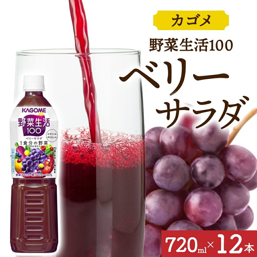 【ふるさと納税】野菜生活100 ベリーサラダ 720mlPET×12 栃木県 那須塩原市 ペットボトル 野菜 果実 ベリー ミックスジュース β-カロテン フルーティー 紫野菜 KAGOME 送料無料