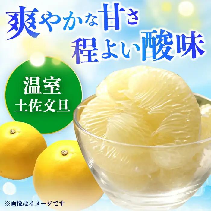 【先行予約】 南国高知温室土佐文旦 約5kg 7玉〈2026年11月中旬〜2027年2月中旬頃発送〉/ 文旦 ぶんたん 5kg 5キロ 温室 果物 フルーツ デザート 柑橘 南国 土佐 高知 名物 名