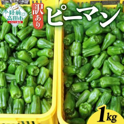 ふるさと納税 陸前高田市 訳あり ピーマン 約1kg 野菜 夏野菜 Farm Koganeyama おためし 料理 規格外