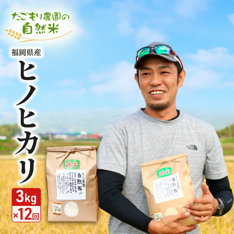 【ふるさと納税】定期便 12ヶ月 米 たごもり農園の自然米 ヒノヒカリ 3kg 小郡産 栽培期間中 農薬不使用 お米 コメ 精米 12回 お楽しみ