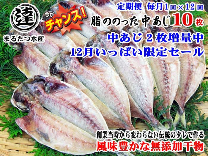 W12【ふるさと納税】【定期便 全12回】創業32年 自社工場 製造直売 完全無添加 伊豆・丸達水産 脂ののった中あじ ひもの10枚+2枚 合計12枚セット 中あじひもの2枚増量中 今がチャンス 12月いっぱい限定セール 毎月1回×12回