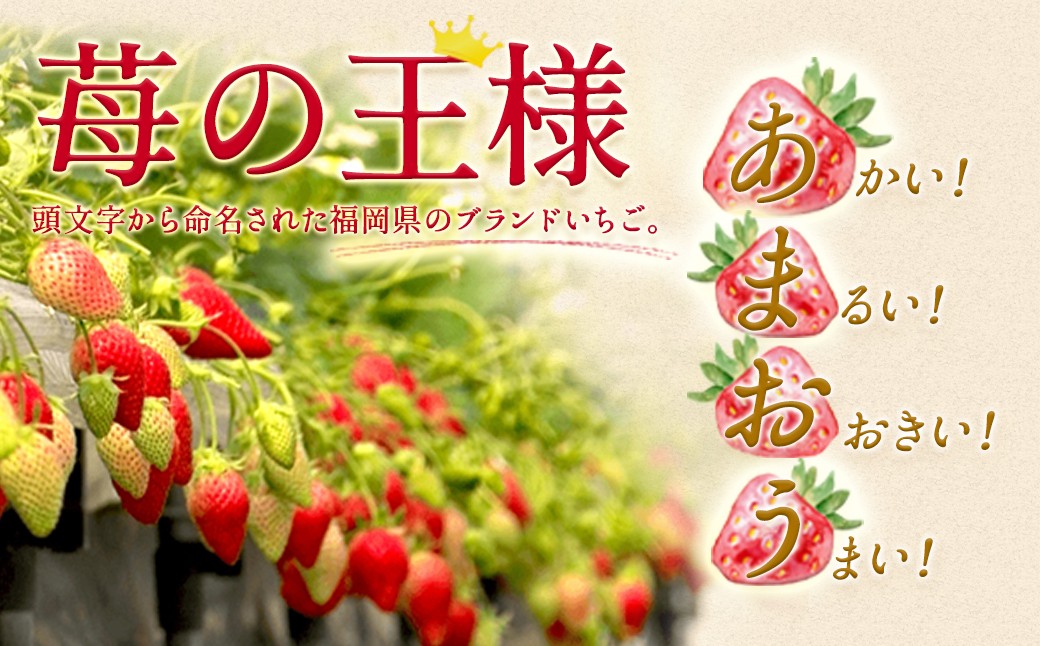 いちご 「あまおう」 約270g×6パック 計約1620g