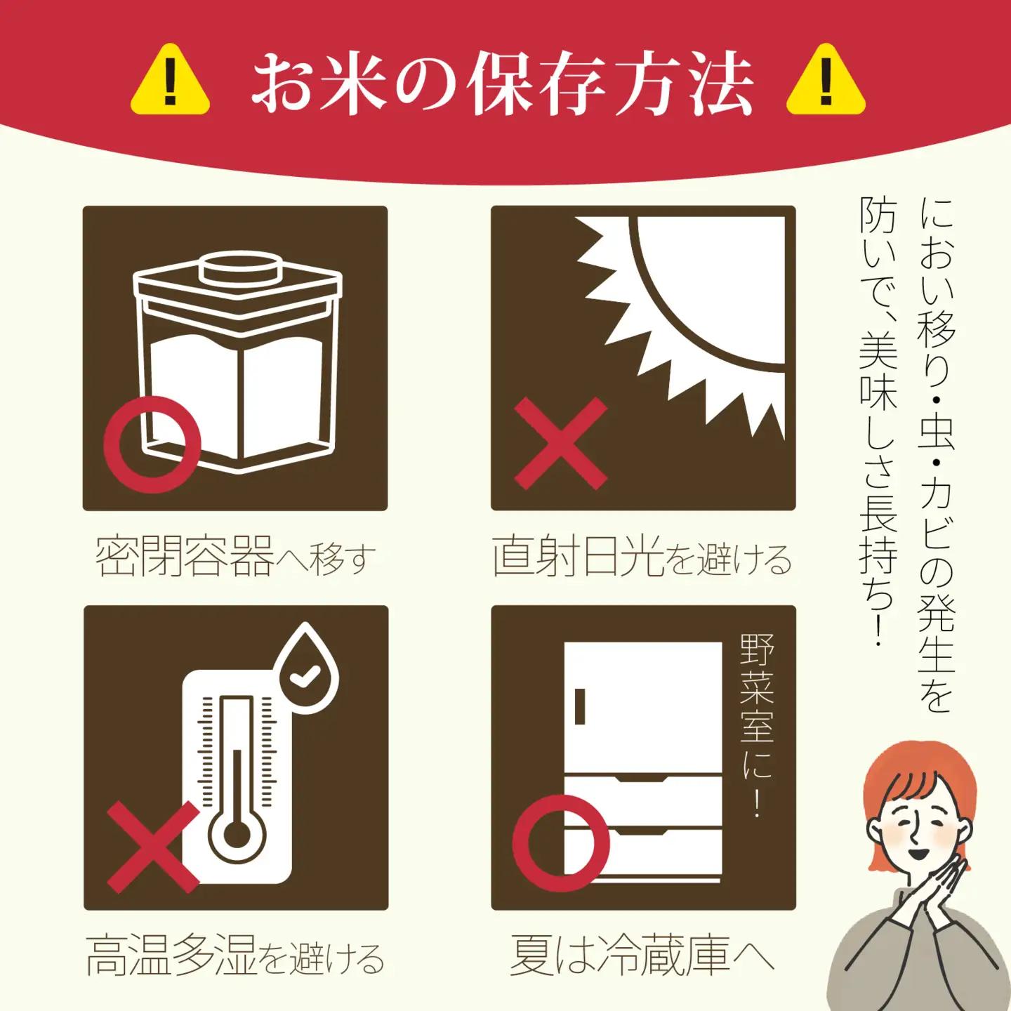 【令和7年産】にじのきらめき  白米 10kg  | お米 お米