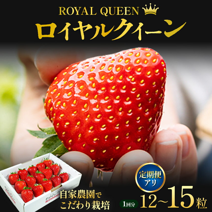 【ふるさと納税】[選べる定期便] [期間限定] 栃木県産 いちご ロイヤルクイーン12～15粒 先行予約 選べる発送月 選べる定期便 3回｜栃木県産 矢板市産 フルーツ スイーツ デザート 果物 果実 産地直送 栃木県 矢板市