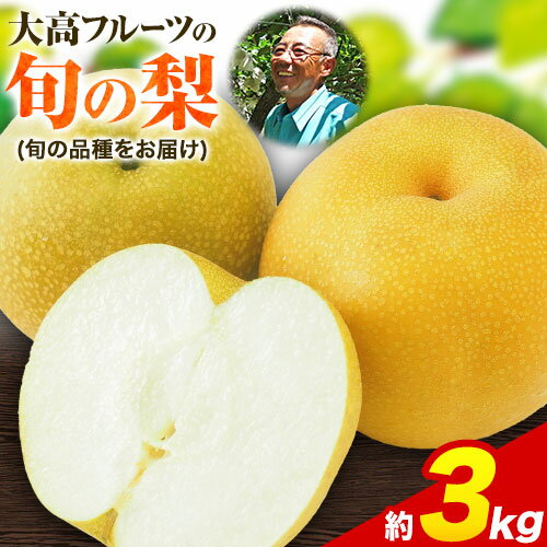 【ふるさと納税】秋 旬 梨 フルーツ 期間限定 大高フルーツの旬の梨(幸水/豊水/秋麗/あきづき/甘太/新高)★約3kg(5-12玉前後) 予約受付中 フルーツ 秋 旬★熊本県玉名郡玉東町 《7月下旬-10月中旬頃出荷》