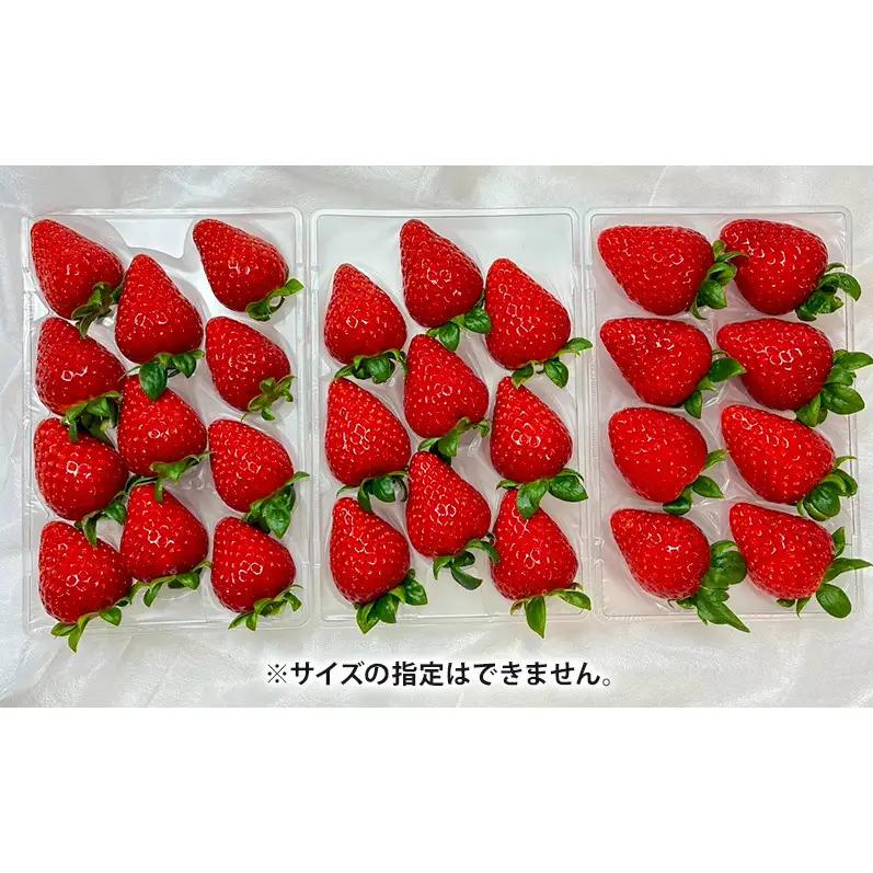 いちご 古都華 北村農園 奈良県産 いちご【2パック】【定期便3回】【先行予約】