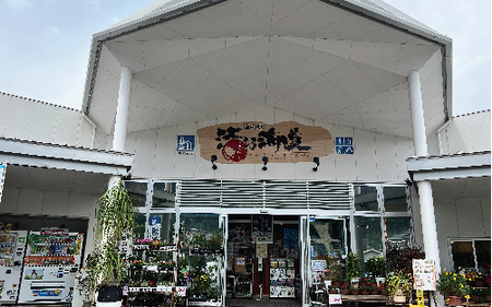 【鹿児島県産鰹節使用】鰹節屋のかつおだしパック 10包入×5袋(計50包)(活お海道/010-1632) 小分け 出汁 だし パック 出汁パック 鰹節 本枯節 指宿鰹節 かつお カツオ 味噌汁 国産 
