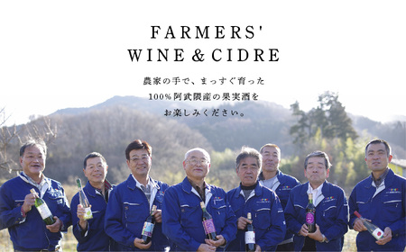 幻のシードル・スパークリングワインセット 500ml ×3本【ふくしま農家の夢ワイン】