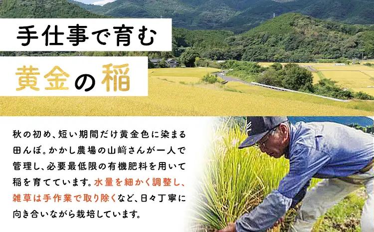 かかしの恵み パックごはん 白米 150g×6個 かかし農場《30日以内に出荷予定(土日祝除く)》