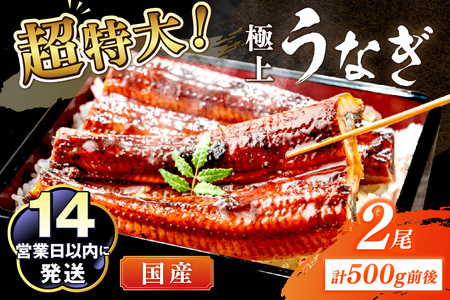 超特大！極上！国産うなぎ蒲焼 2尾 合計500g前後
